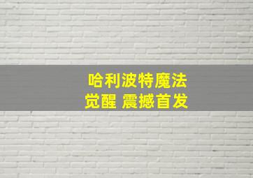 哈利波特魔法觉醒 震撼首发